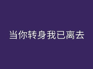 转身离去渺无音信是哪首歌的动人旋律探寻