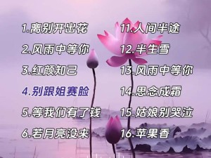 抖音热门桥上走歌词我没到你别起韵出自哪首歌？底层逻辑与操作解析全揭秘