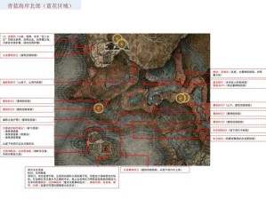 艾尔登法环开局必看！新手零迷路路线+最强装备指南