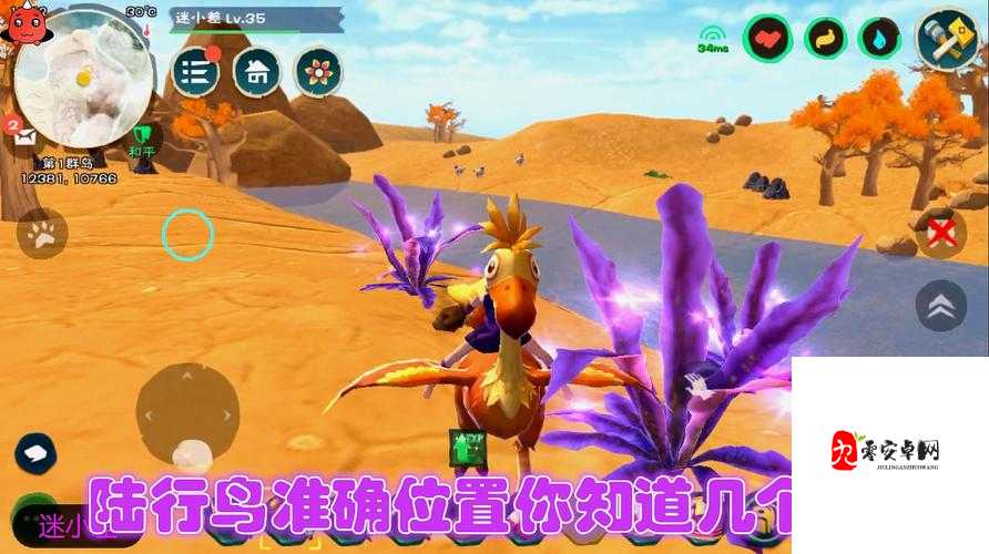 探索创造与魔法中的陆行鸟羽毛,多功能与无限可能