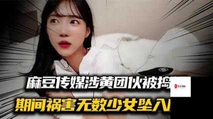 麻豆传媒国产影片:揭秘成人影视行业的秘密