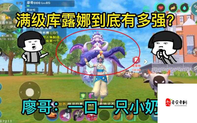 创造与魔法,揭秘奶牛的高效生产秘籍