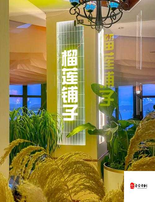 榴莲爱好者的天堂:ll999 榴莲,让你无法抗拒的美味