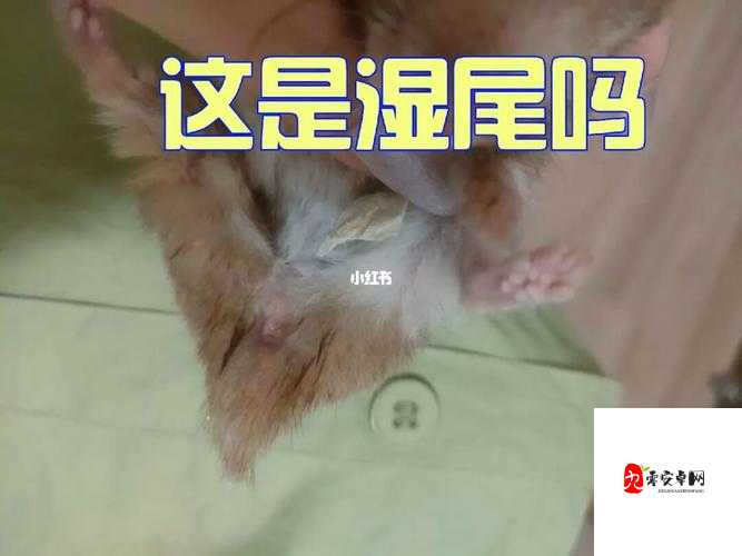 女生流出白白的东西怎么回事:专家详细解答