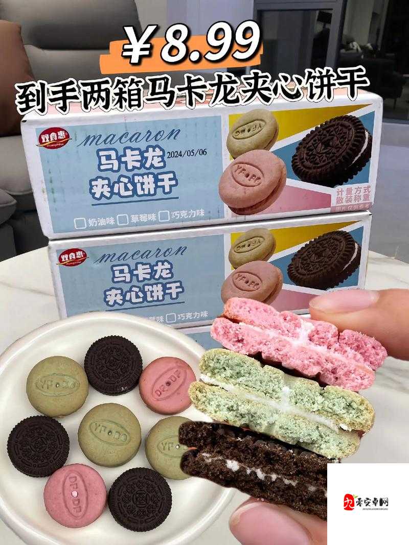 1V2 双胞胎夹心饼干:一场甜蜜与刺激交织的奇妙冒险