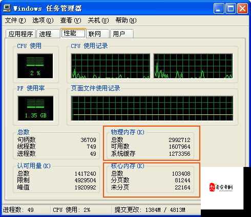 美国与欧洲 Windows VPS 区别大揭秘:网络性能、价格及服务差异分析
