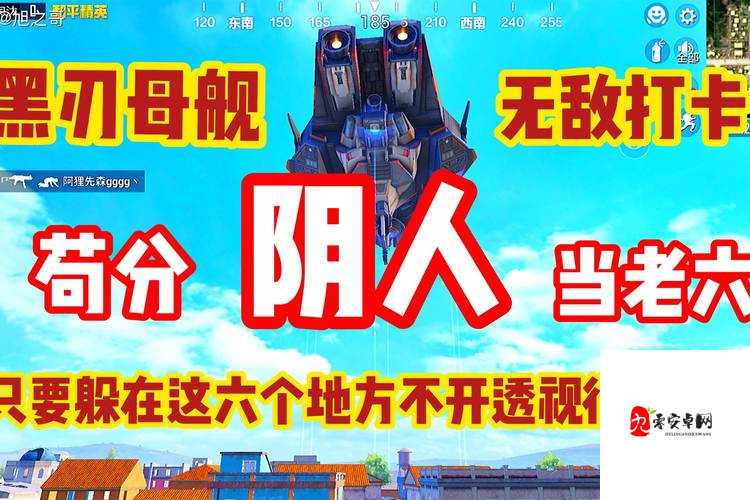 和平精英如何在石心城树上阴人,阴人方法介绍及其在资源管理中的重要性