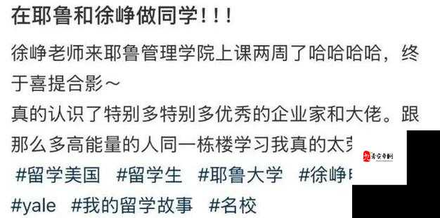 718 娱乐官网在线吃瓜:带你走进娱乐圈的精彩世界