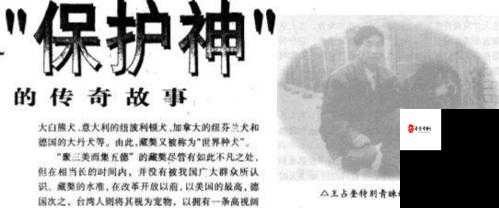 中国人 XXXXXXXX68:一段跨越时空的传奇故事