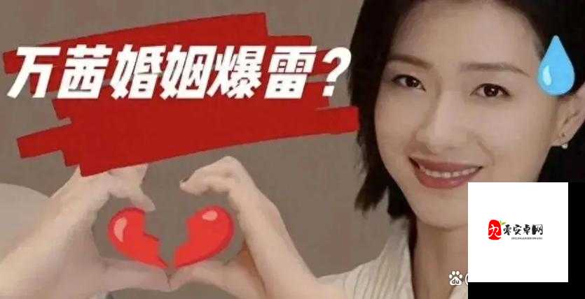 娱乐圈某明星出轨事件引发全网热议:婚姻忠诚度再受关注