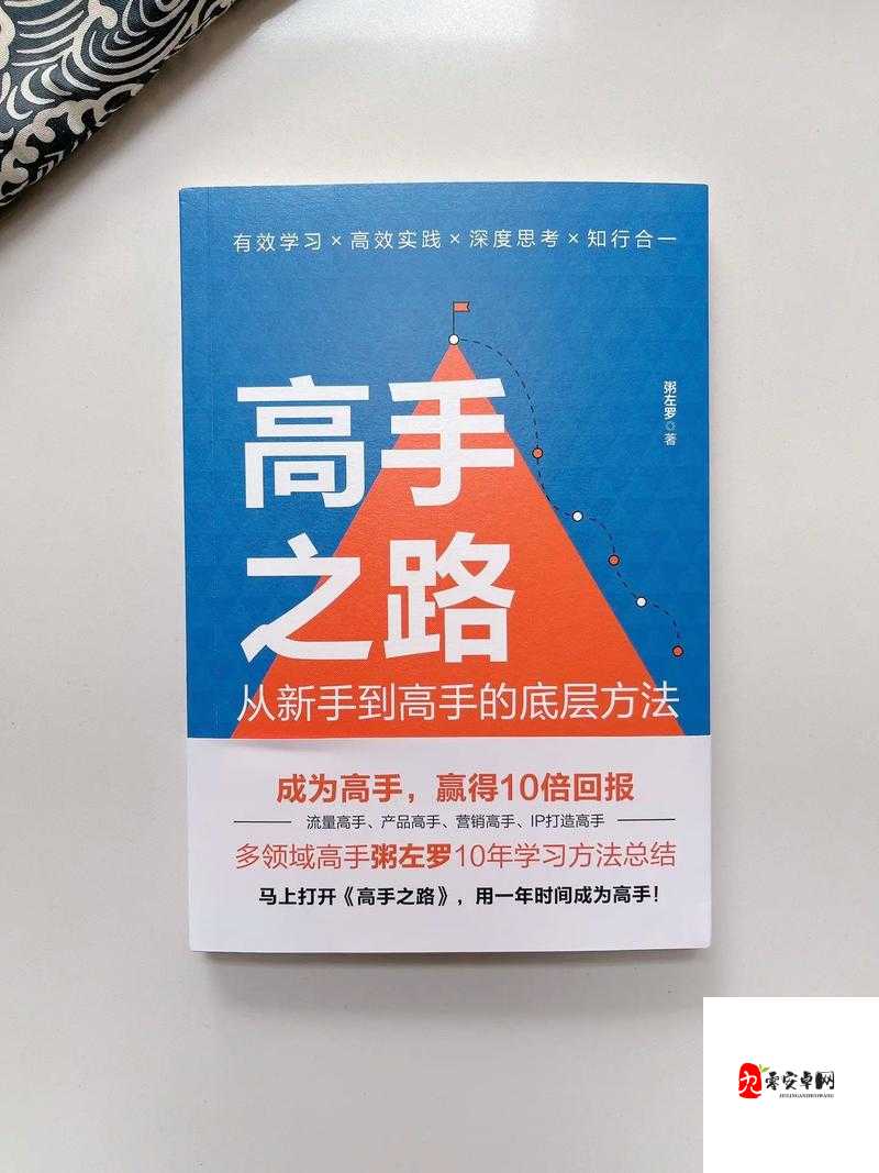 变身吧主公高手进阶秘籍,解锁你的霸主之路