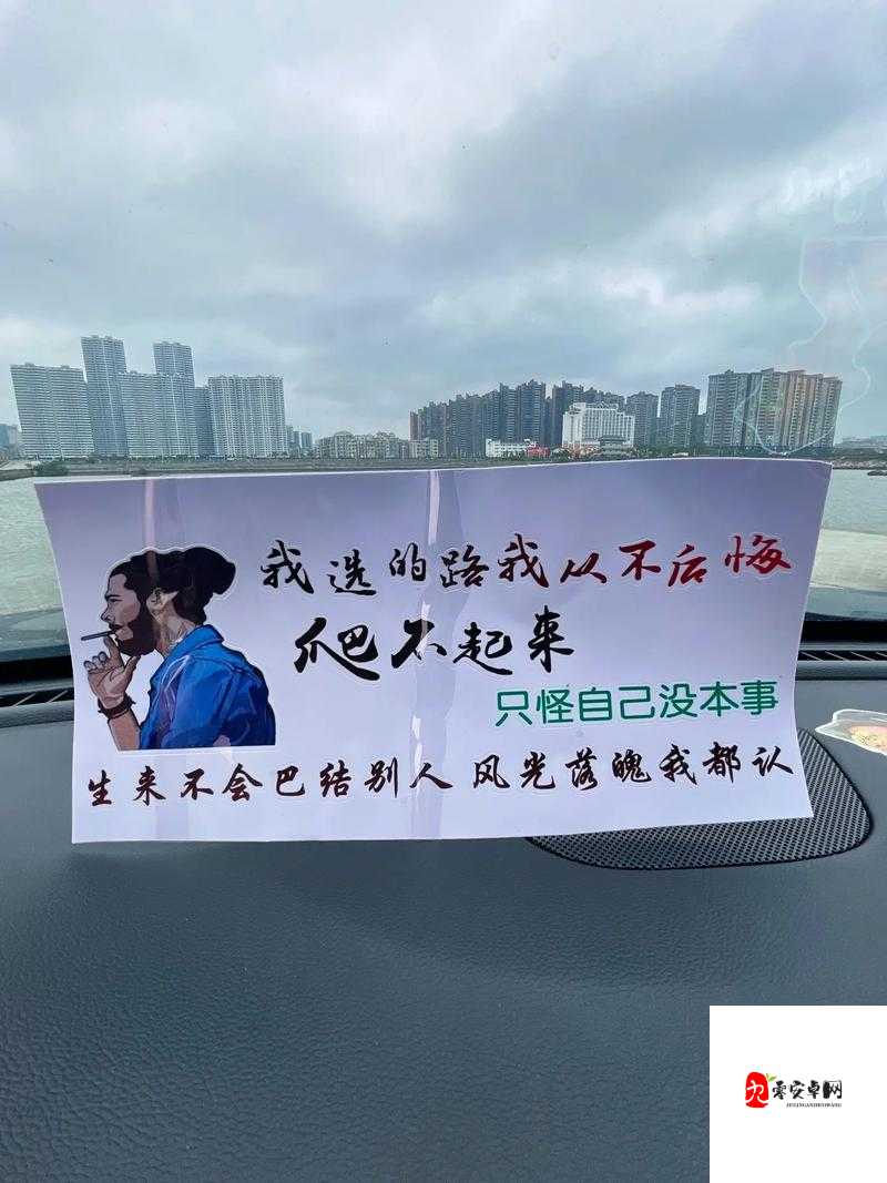 选我还是选它 1v1:一场关乎抉择的激烈较量