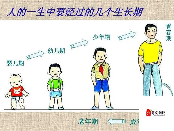 雏鸟成人版:从稚嫩走向成熟的成长历程
