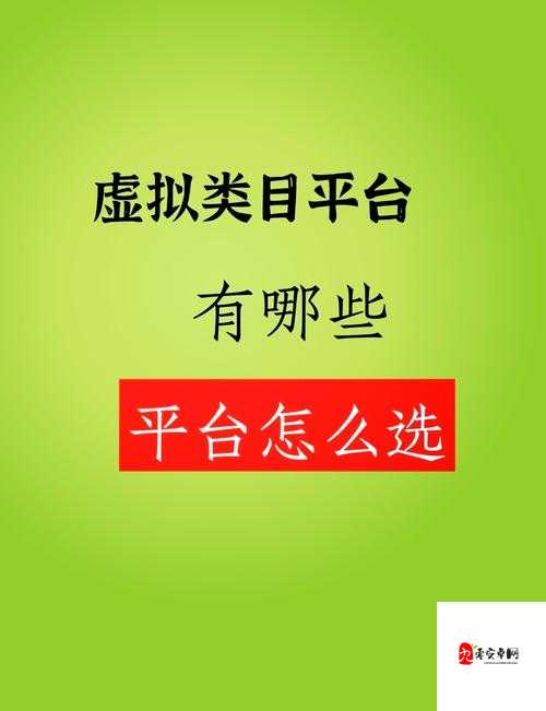 4 虎网址:畅享精彩多元网络世界的优质平台