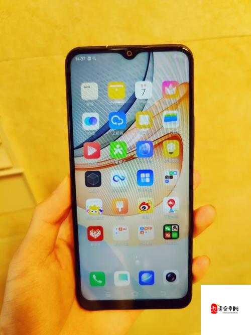 成色好的 Y31S 标准版下载:让您轻松获取优质体验