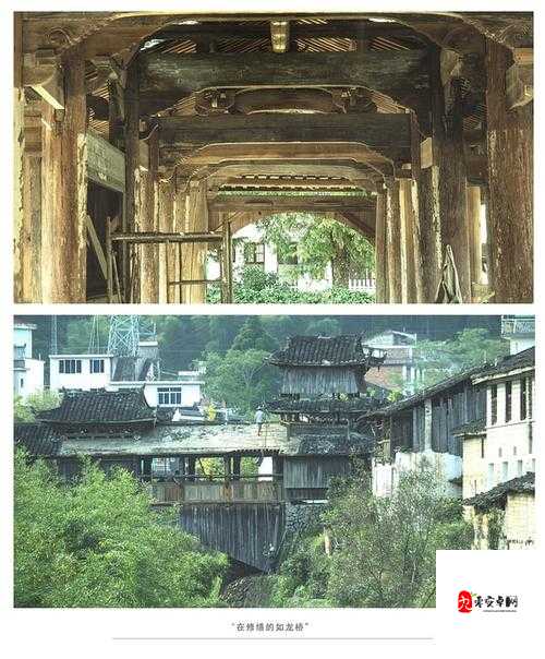 山村老妇的惊人秘密:山边性对白背后的真相