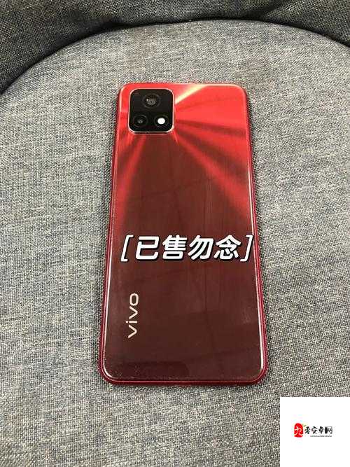 y31 成色好的:一款外观出众性能卓越的优质产品