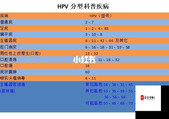 持续感染 HPV16、18、27、8 型,可能增加宫颈癌风险