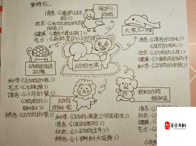 欧美动物交视频:探索别样的动物世界奥秘