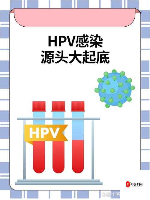 HPV 感染与性接触关系:全面解析与探讨