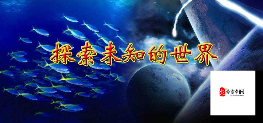 huangsewangzhan.w3:探索未知的世界