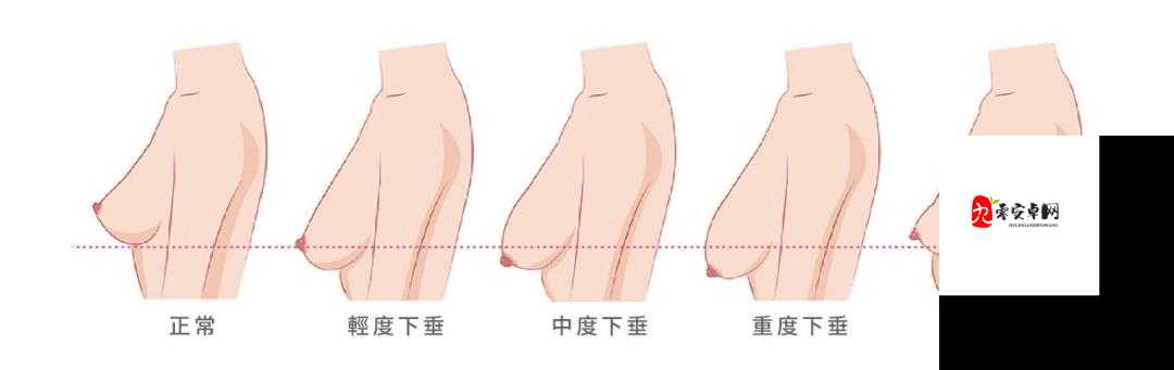 女生想把胸露出给男生看摸:这样做的风险与后果