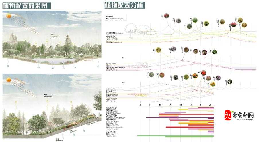 亚州码专无区2022:关于其独特性与重要意义的探讨