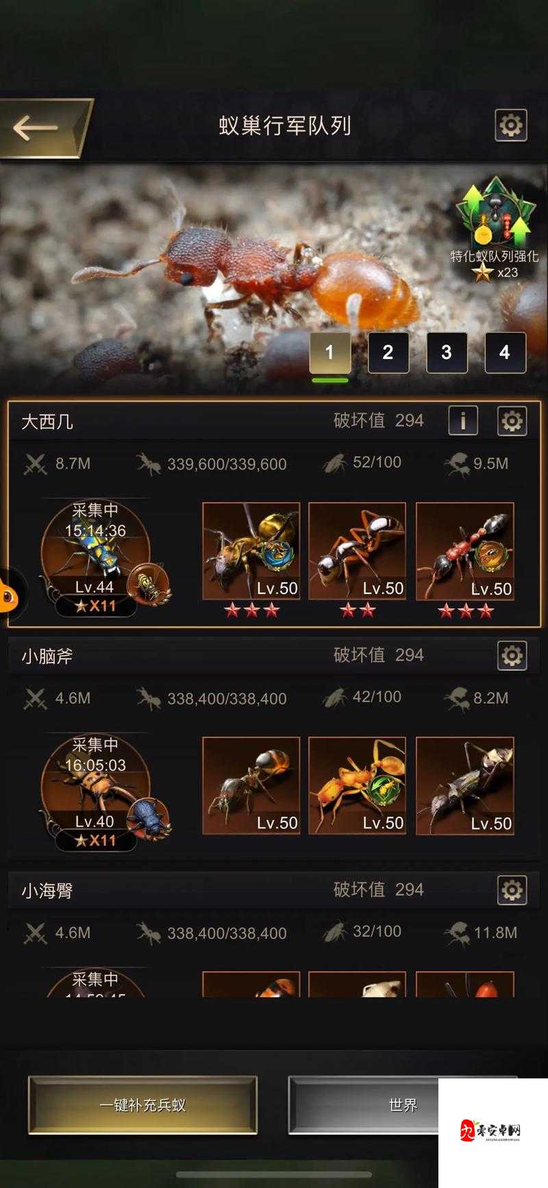 小小蚁国,解锁最强猎虫蝽的制胜之道