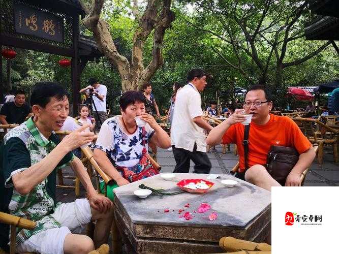 神行九歌,揭秘金鳌岛——最震撼人心的副本之旅