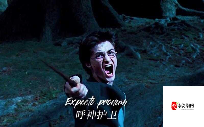 模拟守护神攻略,成为自己的守护神在资源管理中的重要性与实践