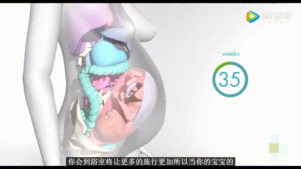 怀孕的母亲模拟游戏，体验孕晚期分娩全过程的资源管理艺术