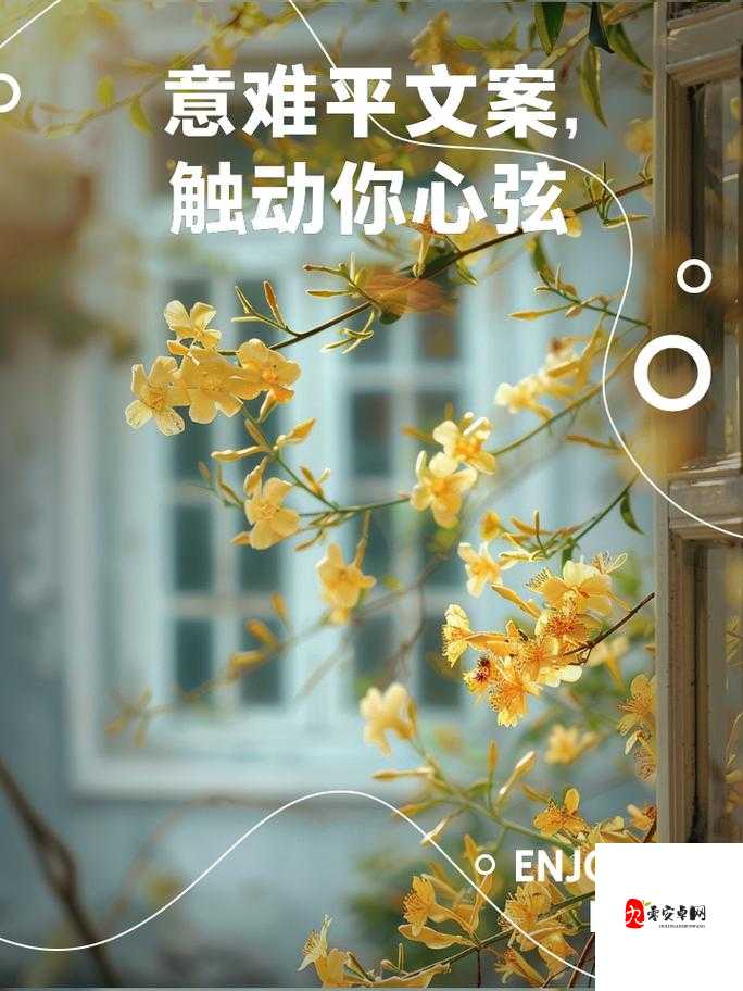 仿佛还看见昨日那张悲伤的脸庞,是哪首歌触动了你的心弦?