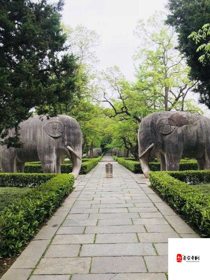 中国 XXXXX669:探寻中国文化的奥秘与魅力