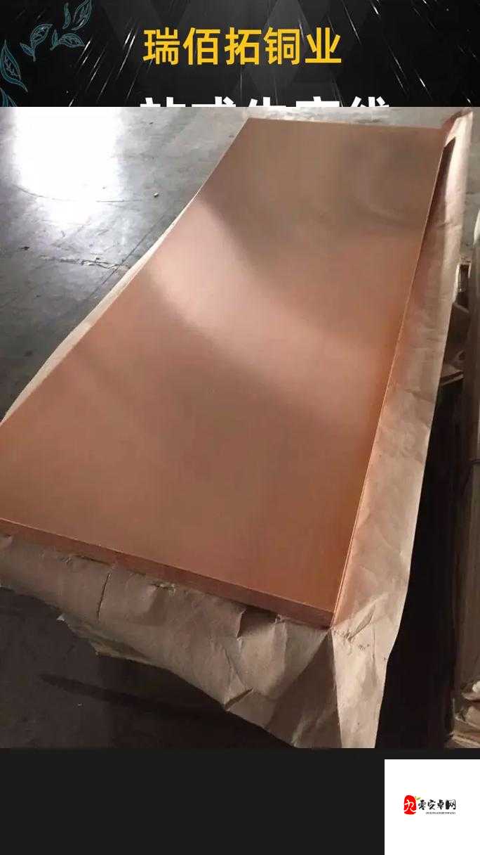 铜铜好大深色板:这是一个非常特别的描述