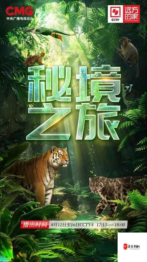 神秘秘密网站入口:带你探索未知世界的奇幻之旅