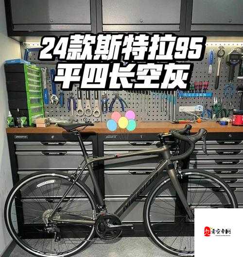 欧版与亚洲版 AGV 尺寸对比:差异与特点