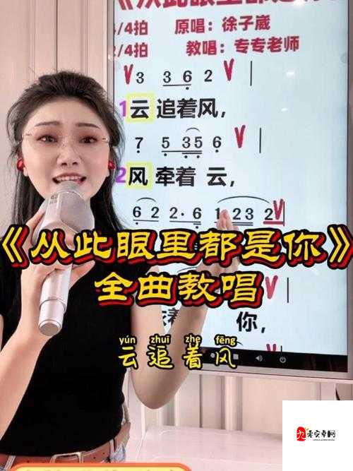 我看着你的眼睛是什么歌,深入解析、管理技巧与价值最大化