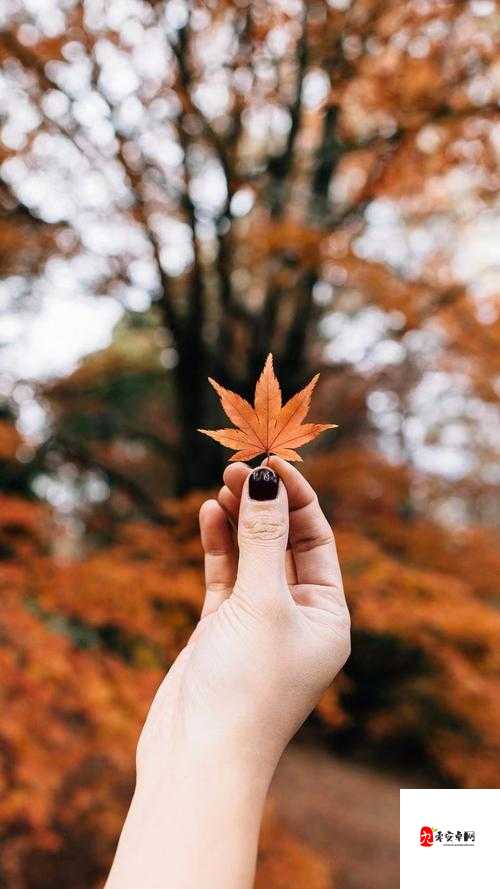 我们就像没分开过,重复着彼此的生活——探寻影子习惯背后的情感共鸣