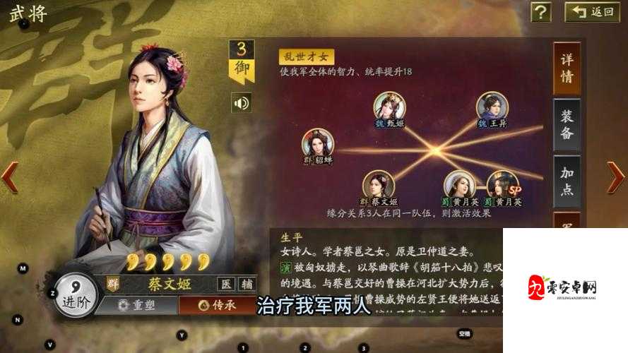 三国志战略版蔡文姬,阵容搭配的艺术