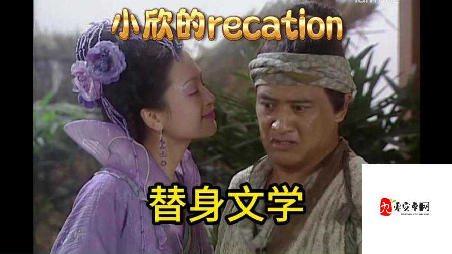 在你眼中我是谁你想我代替谁,资源管理中的隐喻与策略