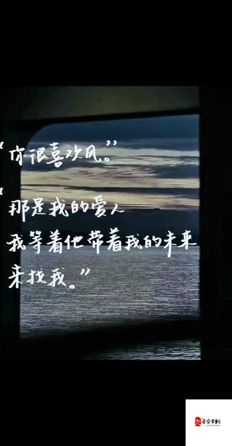 原谅走过的那些曲折,是哪首歌触动了你的心弦?