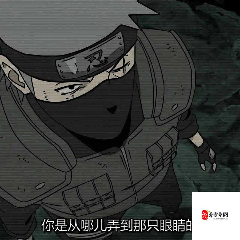 帕克——卡卡西的忠诚忍犬,资源管理、高效利用与避免浪费的全面解析