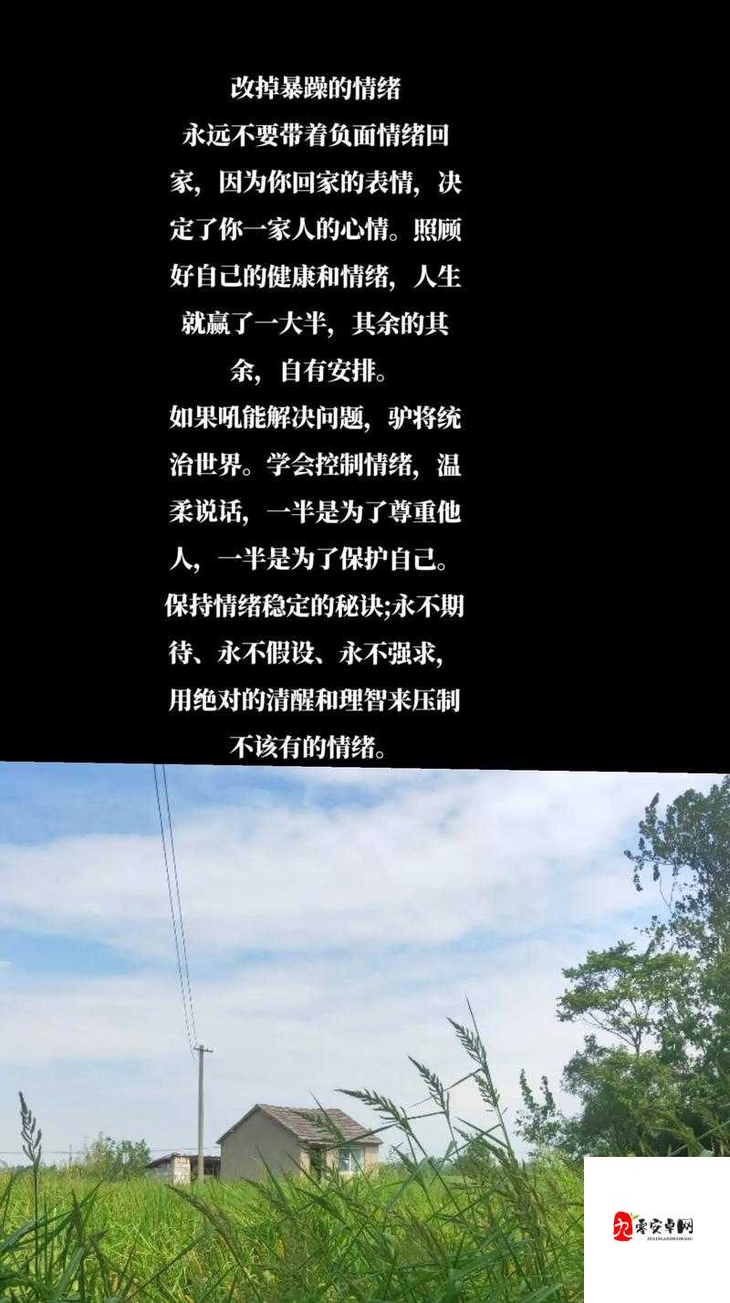 心里的花我想要带你回家什么歌,资源管理、高效利用与价值最大化