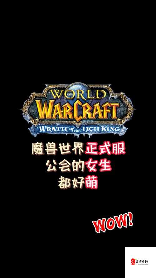魔兽世界怀旧服,从零开始,打造你的公会传奇