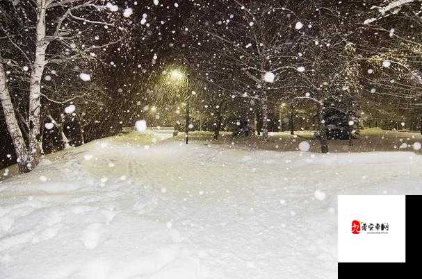 我慢慢的听雪落下的声音,这首触动心灵的歌究竟是何方神圣?