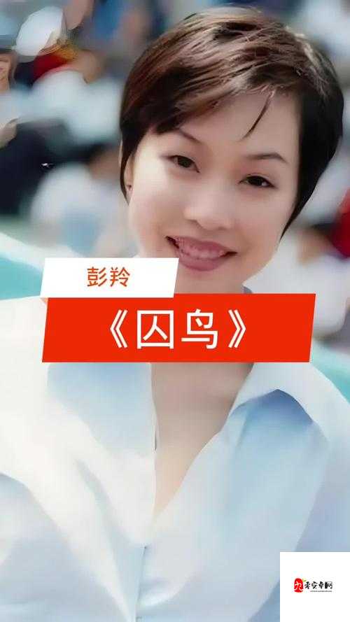我像是一个你可有可无的影子,探寻歌曲背后的情感共鸣