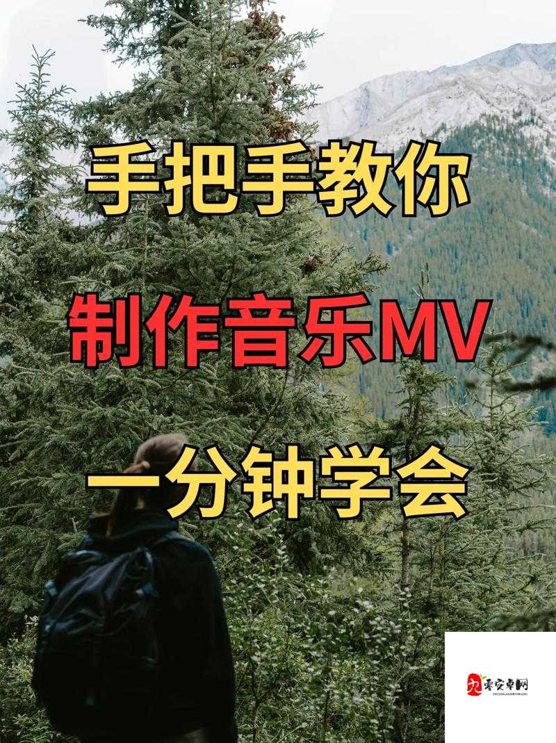 抖音音乐播放器视频制作全攻略,打造你的音乐盛宴