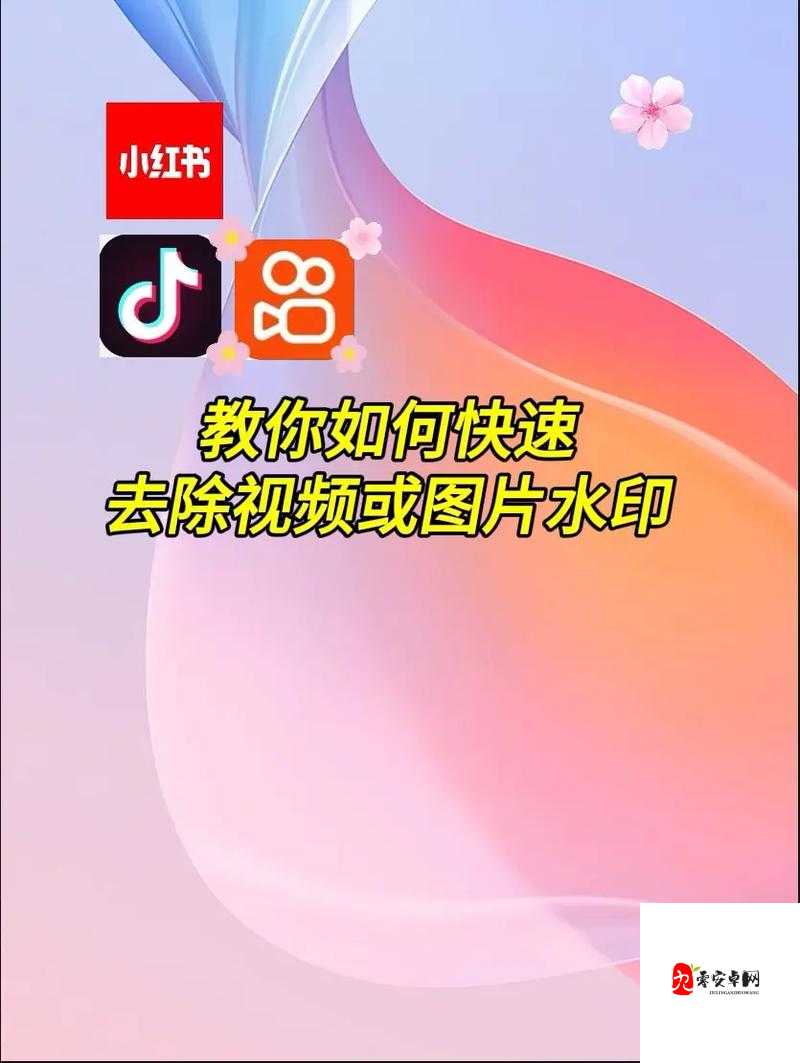 抖音去除水印保存,资源管理的新视角与实践