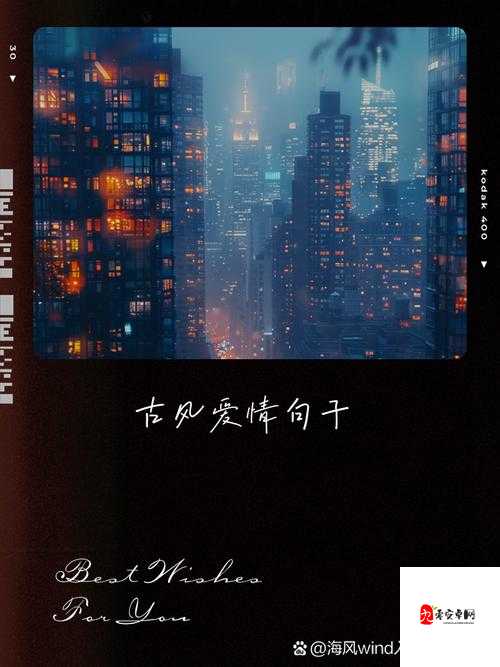 喜欢,在一朝一夕间定格成永恒