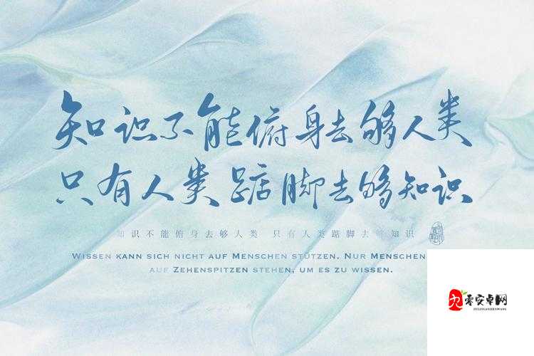 人间理想与人间妄想的壁纸,资源管理的艺术
